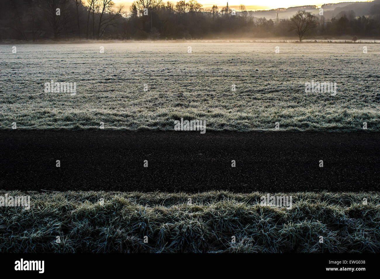 Path Between Fields of Frozen Grass Stock Photo