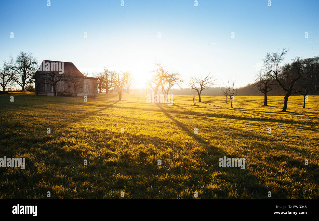 Small Building on Farm Land During Sunrise Stock Photo