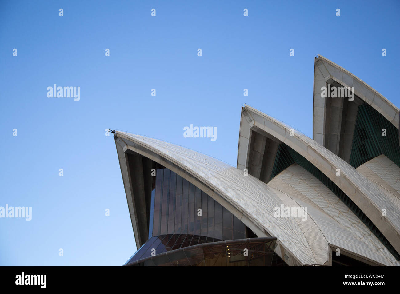 Sydney Opera House Architecture Stock Photo