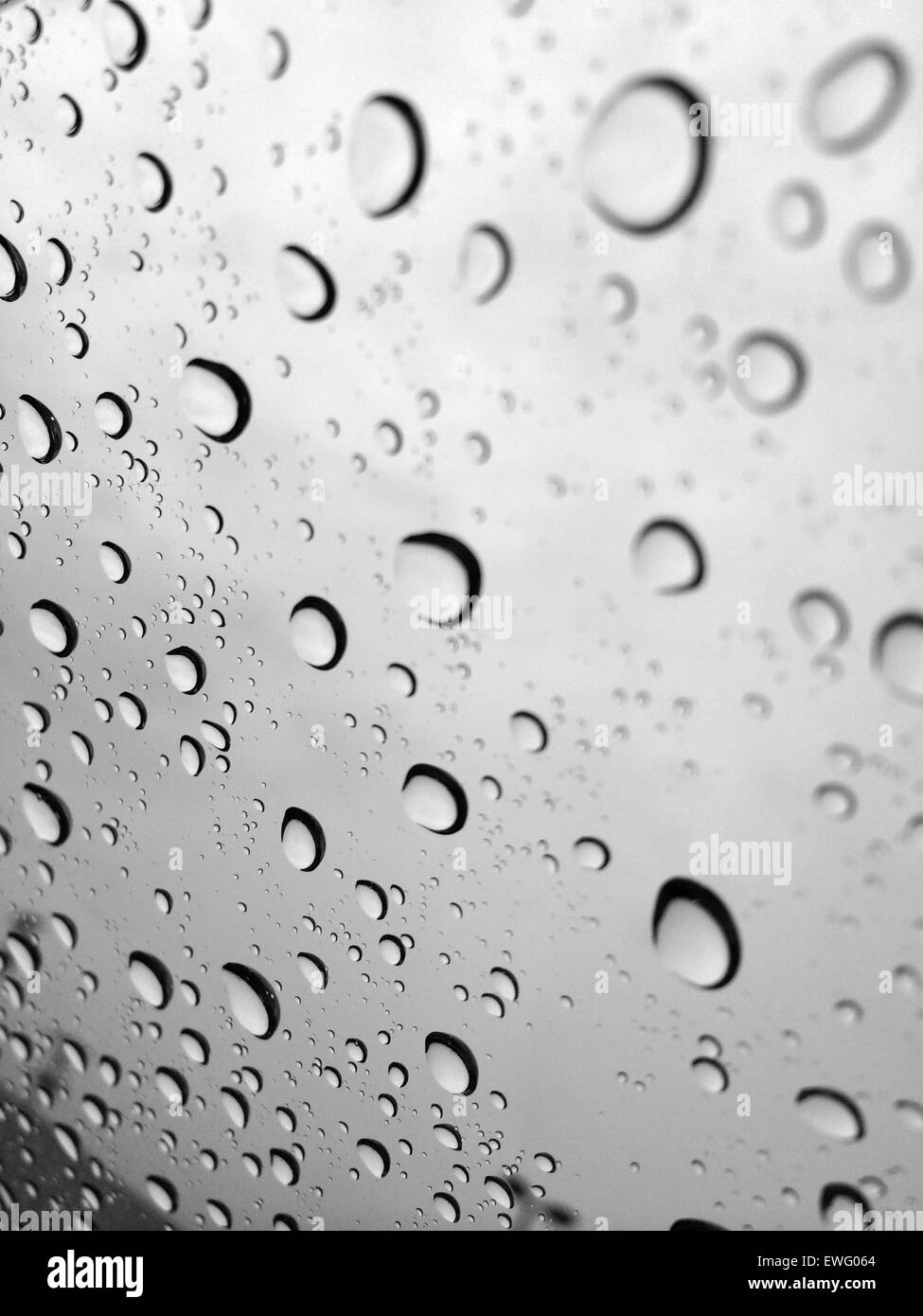 Water Droplets Pattern Stock Photo