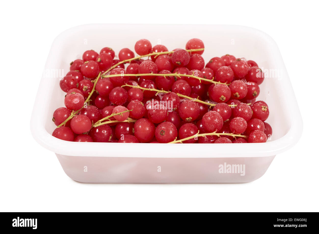 Frozen currants with stems in a white plastic box on a white background Stock Photo