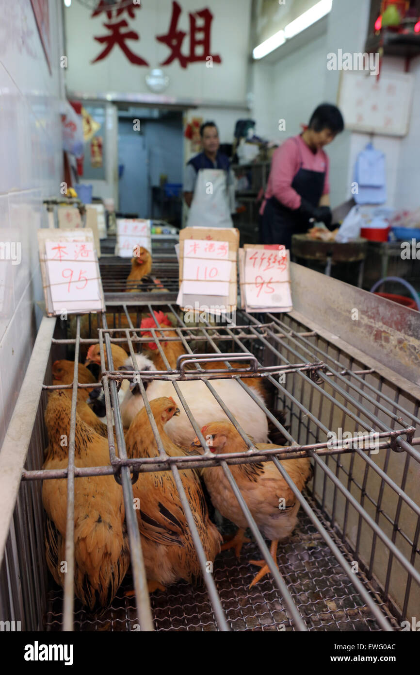 Hong Kong, China, Gefluegelverkauf on a weekly market Stock Photo