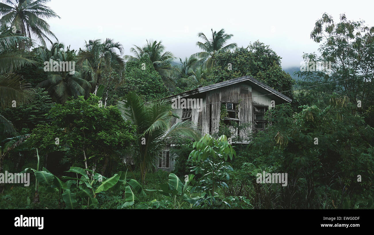 Wood House in Forested Area Stock Photo