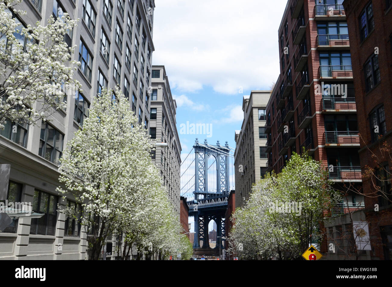 Dumbo neighbourhood hi-res stock photography and images - Alamy