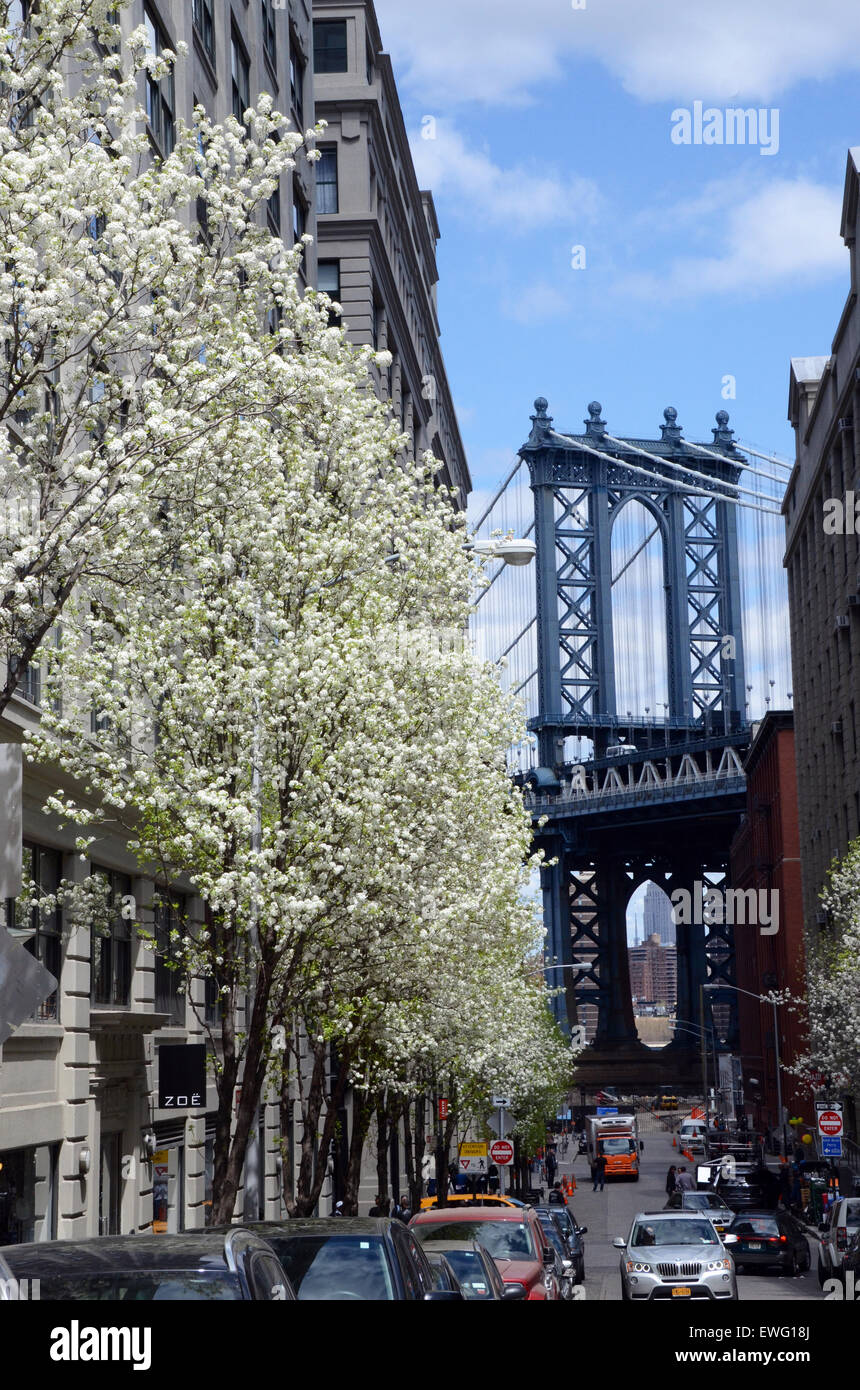 Dumbo neighbourhood hi-res stock photography and images - Alamy
