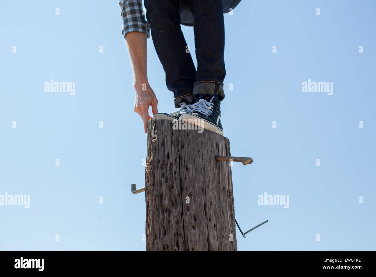 Person Standing on Top of Telephone Pole Blue Background Blue Jeans