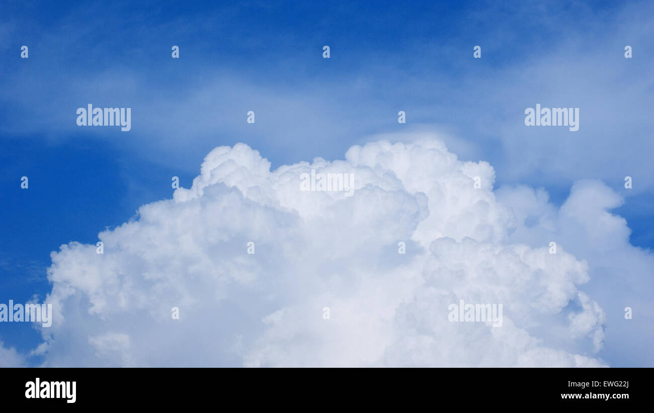 A clear blue sky filled with fluffy white cumulus clouds. The soft ...