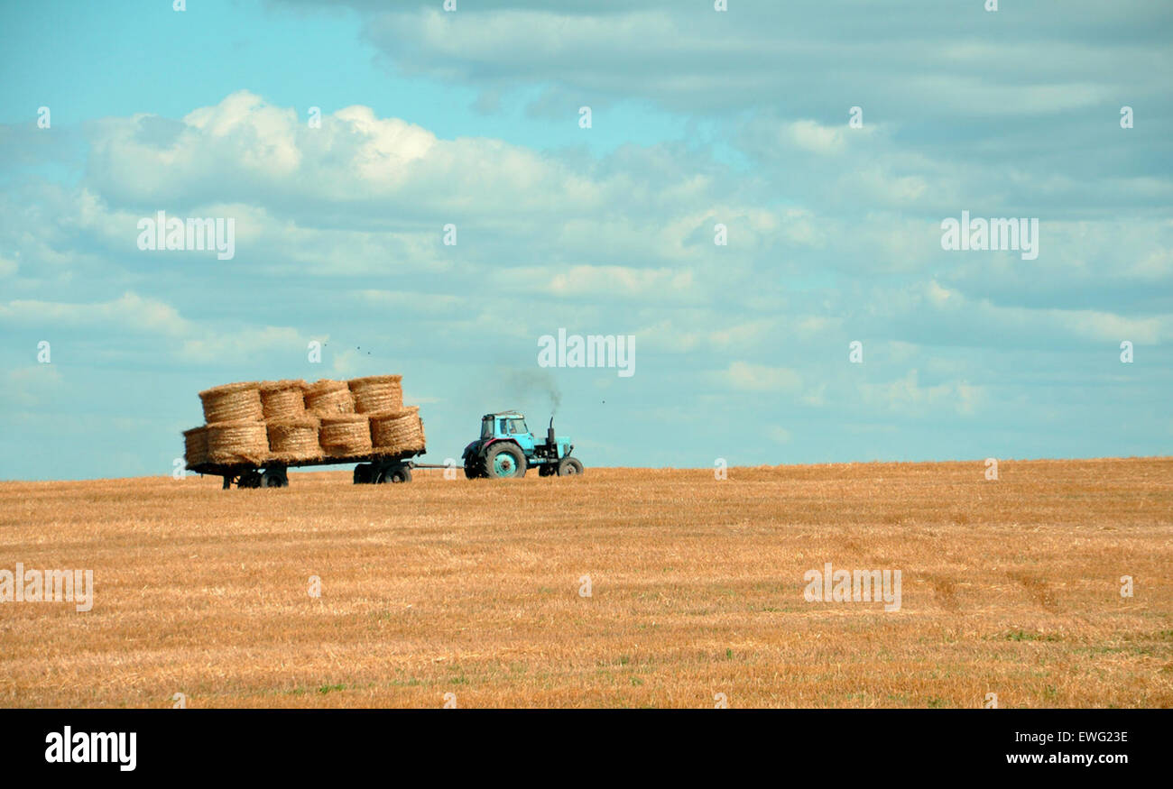 Blue Tractor Hauling Hay Bales Across Field Clouds Cumulus Hauling Hay
