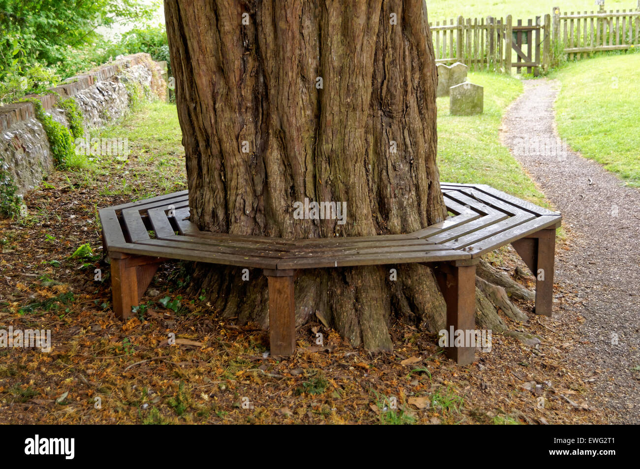 Octagonal tree seat in church yard. Stock Photo