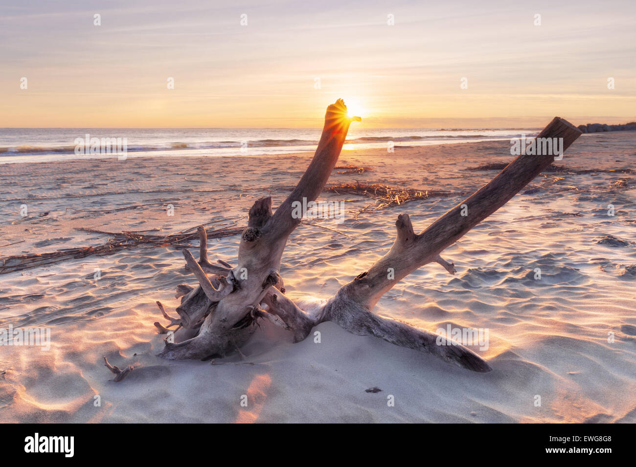 Folly beach james island hires stock photography and images Alamy
