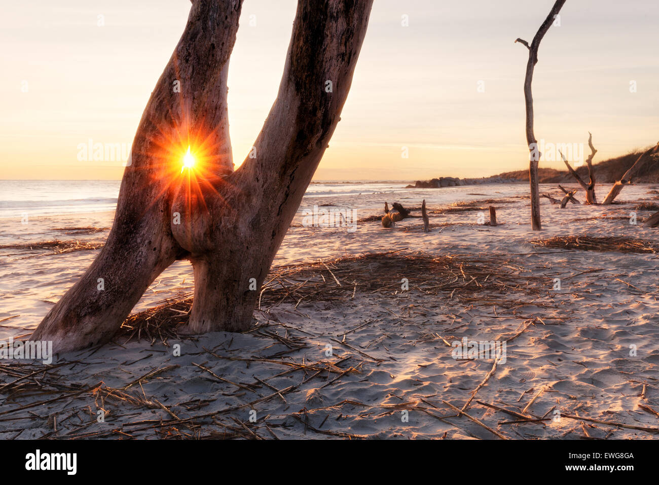 Sunrise at Folly Beach, James Island, South Carolina, USA Stock Photo
