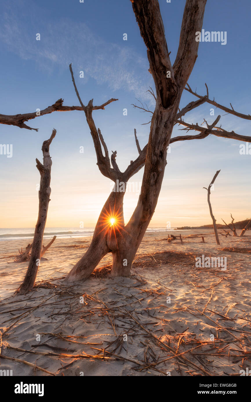 Folly beach james island hires stock photography and images Alamy