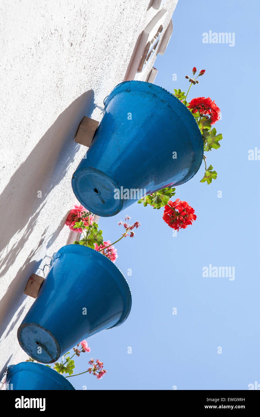 Floral ornament on wall with blue pots and red geraniums, Stock Photo