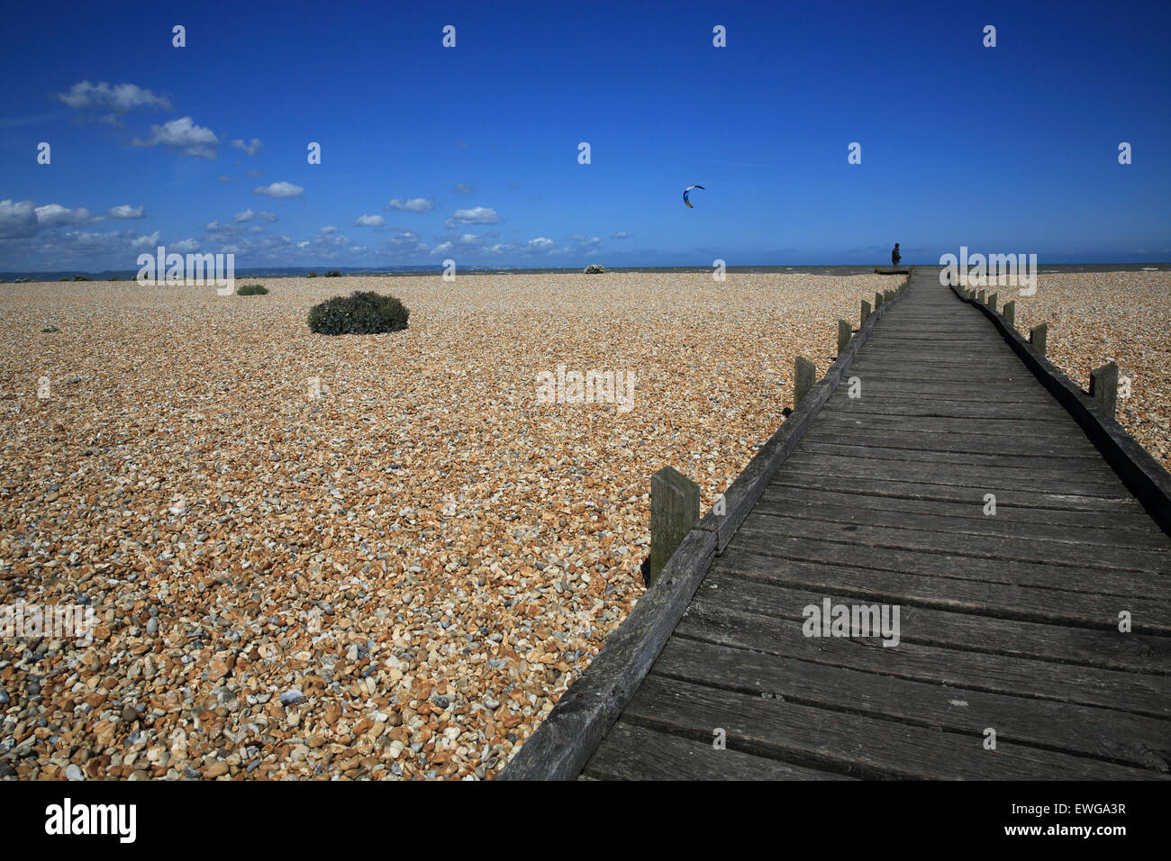 The Greatstone shingle beach at the Dungeness National Nature Reserve