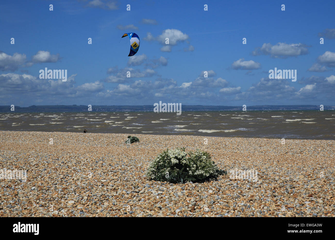 The Greatstone shingle beach at the Dungeness National Nature Reserve
