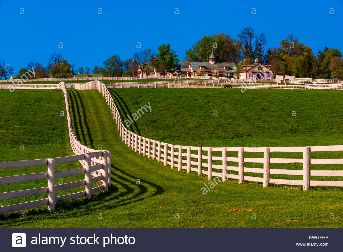 Calumet Farm Stock Photos & Calumet Farm Stock Images Alamy