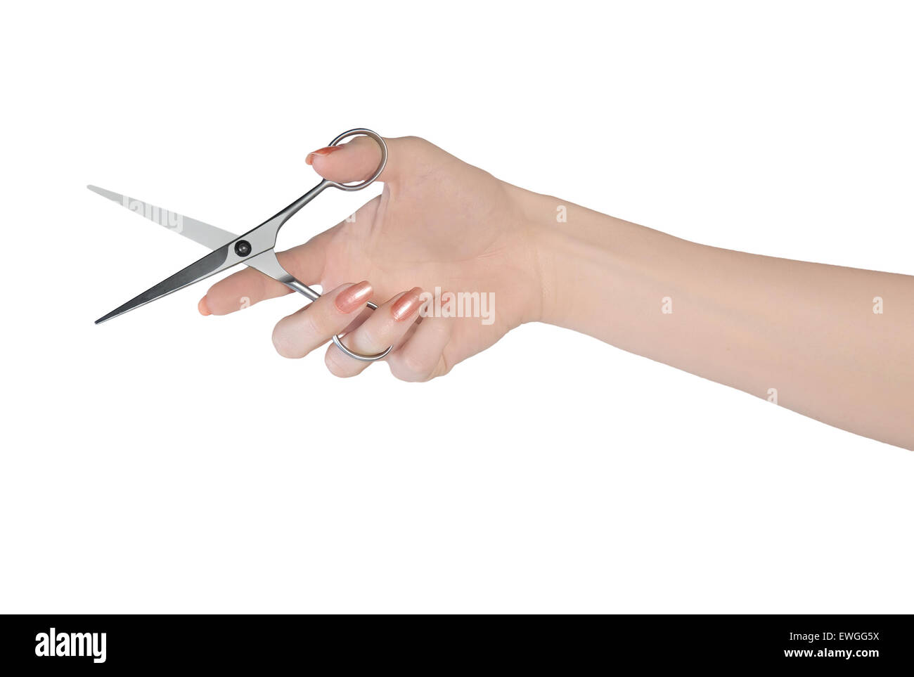 Crazy Hairdressing Scissors Fit for Beard Isolated on White Background  Stock Image - Image of crazy, close: 177745303