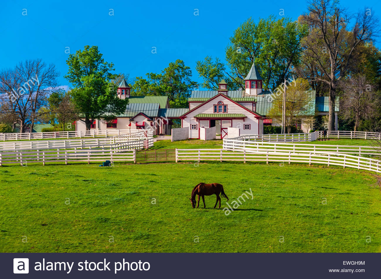 Calumet Farm Stock Photos & Calumet Farm Stock Images Alamy