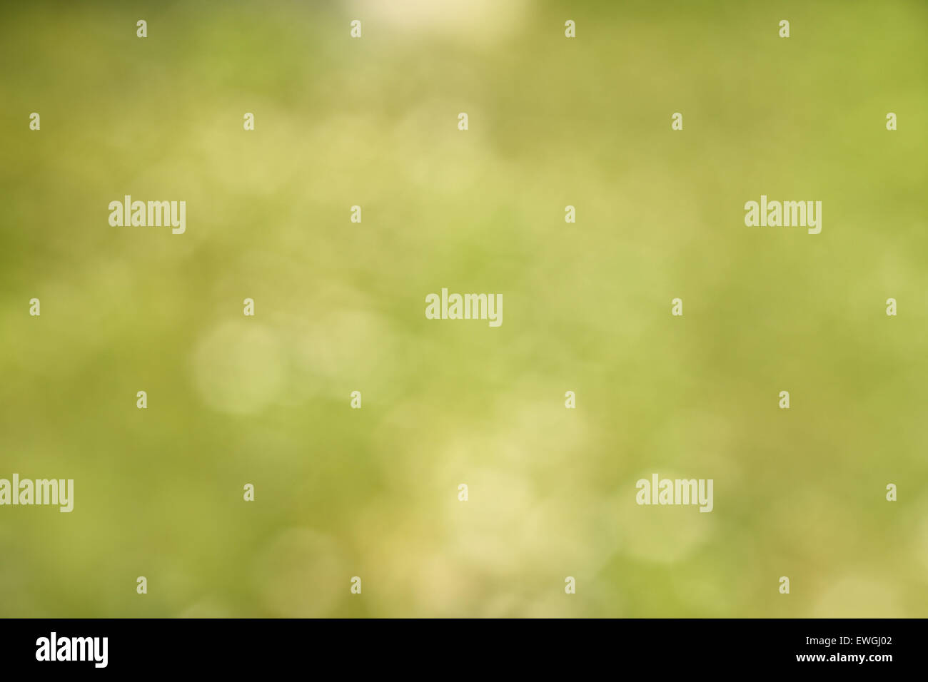Bokeh green background hi-res stock photography and images - Alamy