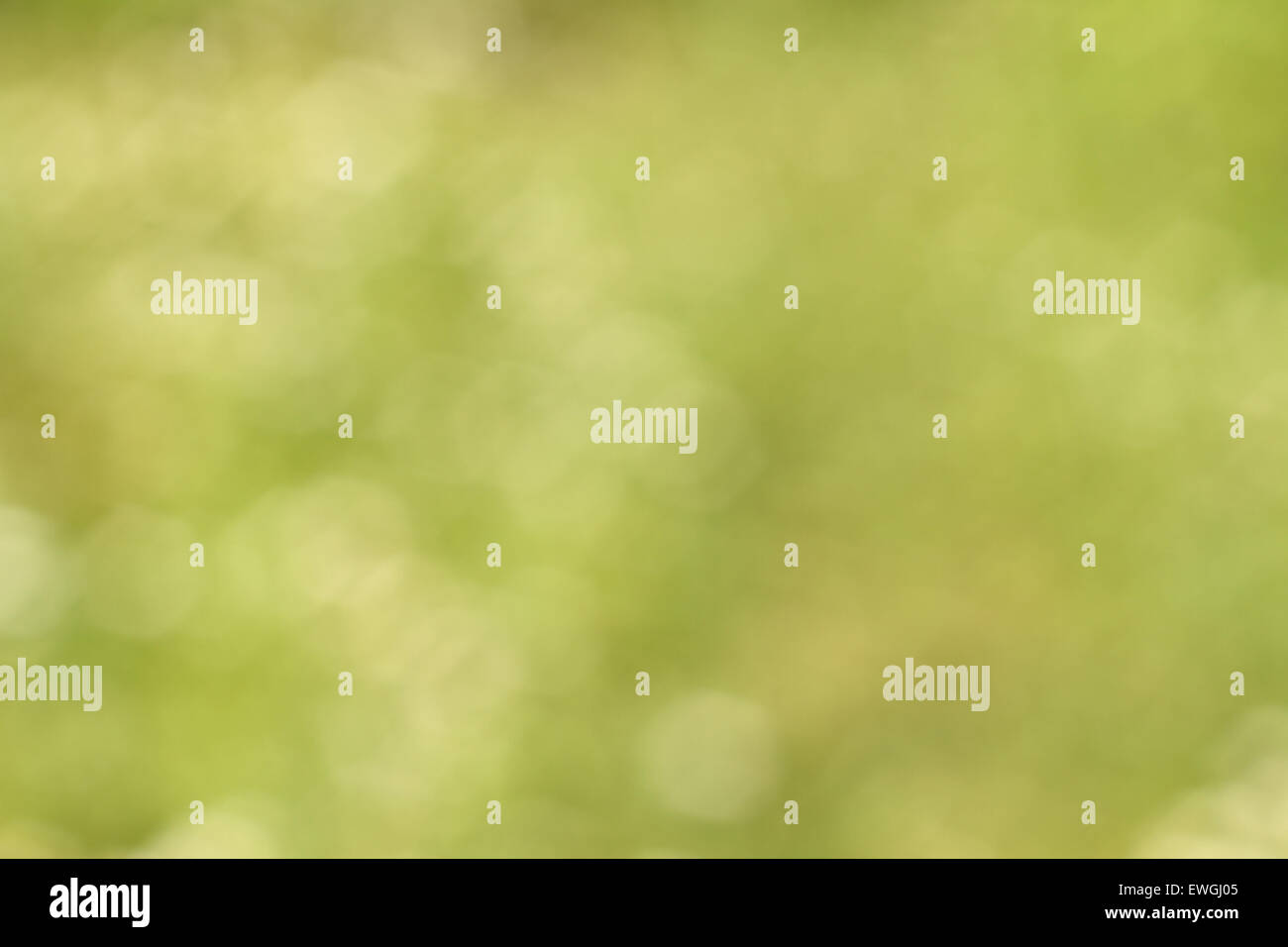 Bokeh green background hi-res stock photography and images - Alamy