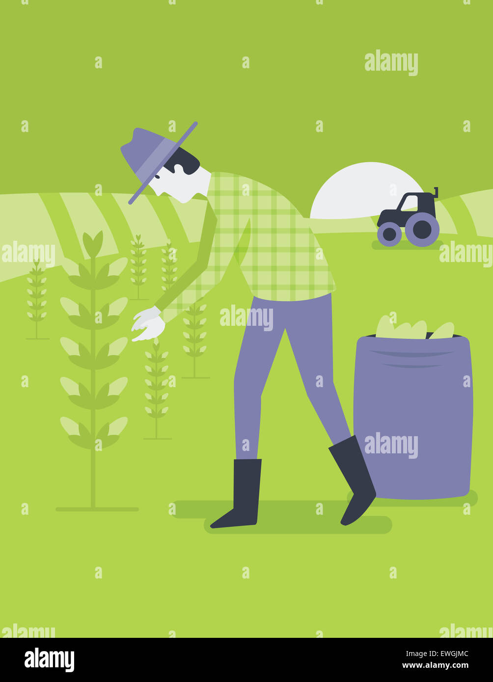 Farmer harvesting crop in field Stock Photo - Alamy