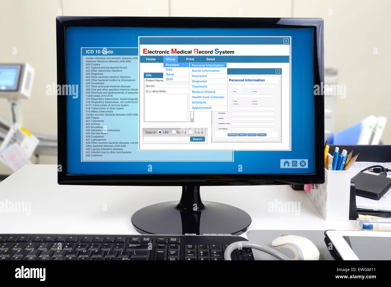 Medical information and electronic medical record system show on