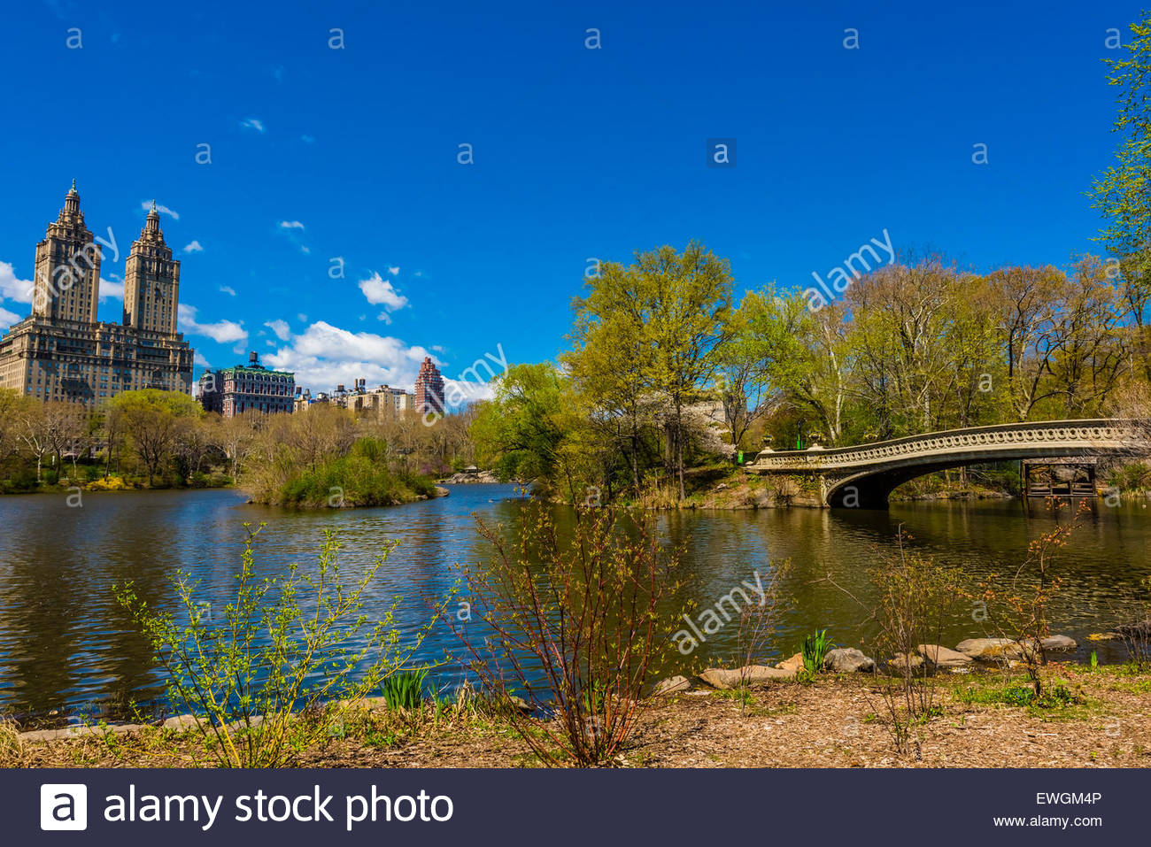 bow bridge central park new york