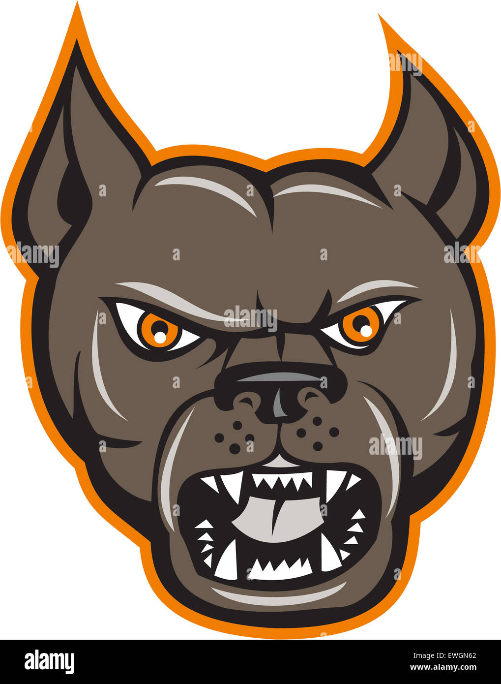 Illustration of an angry pitbull dog mongrel head facing front set on  isolated white background done in cartoon style Stock Photo - Alamy