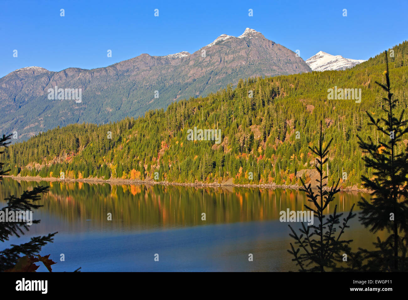 StrathconaWestmin Provincial Park, Buttle Lake, Vancouver Island, British Columbia, Canada