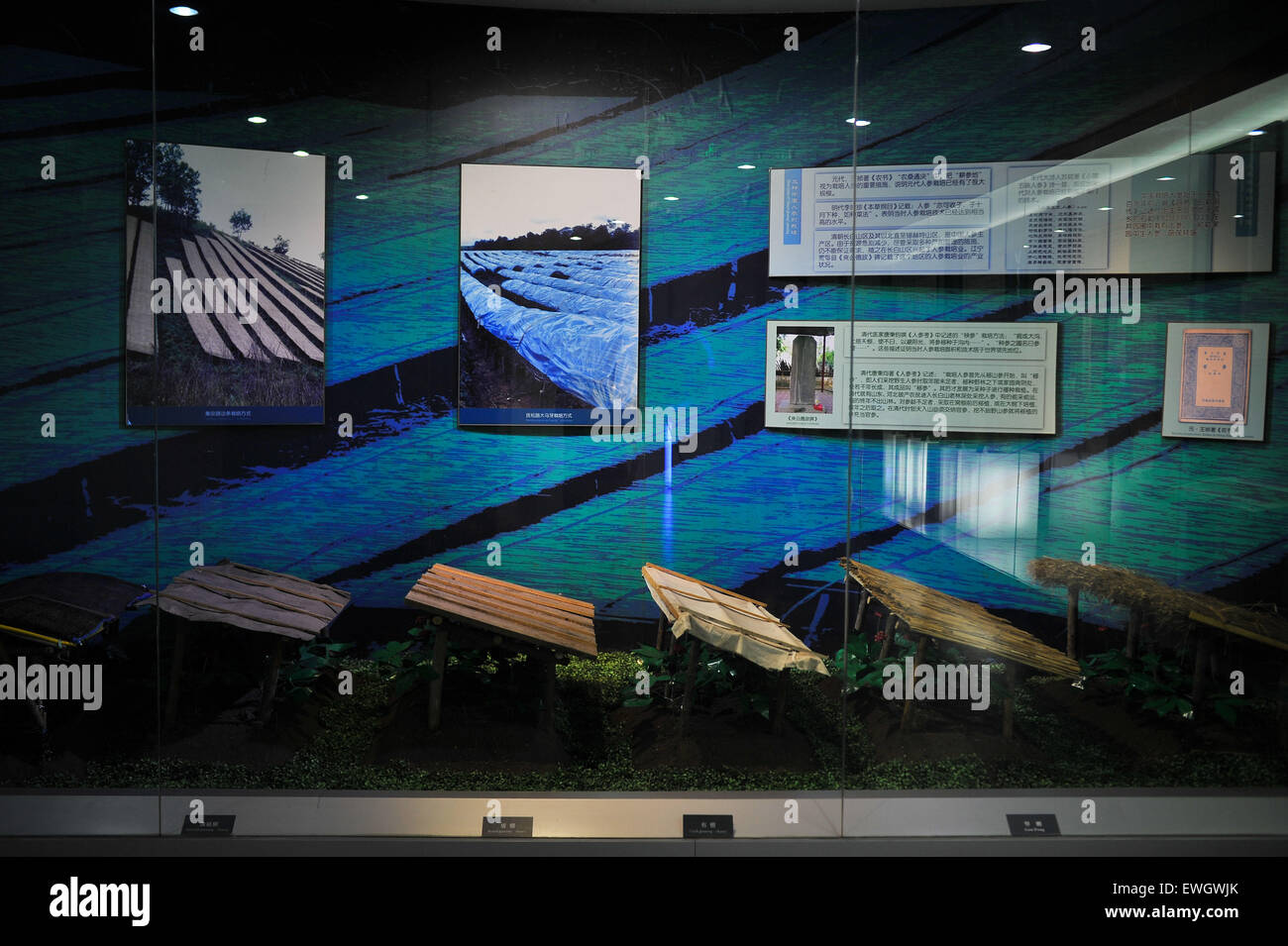 Ginseng for the floor hires stock photography and images Alamy