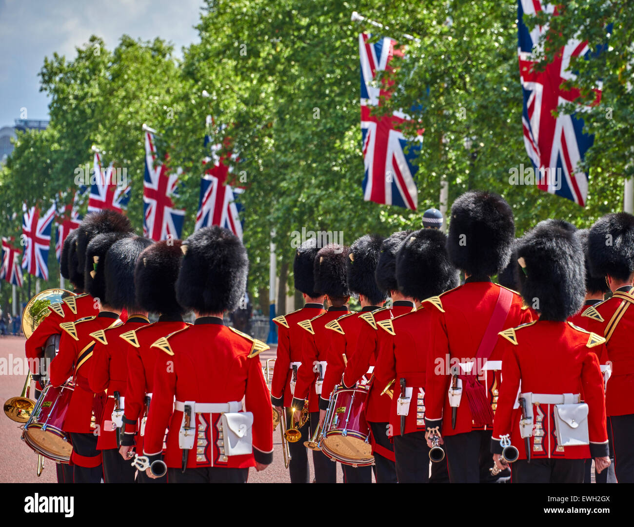 The Queen's Guard and Queen's Life Guard (called King's Guard and King
