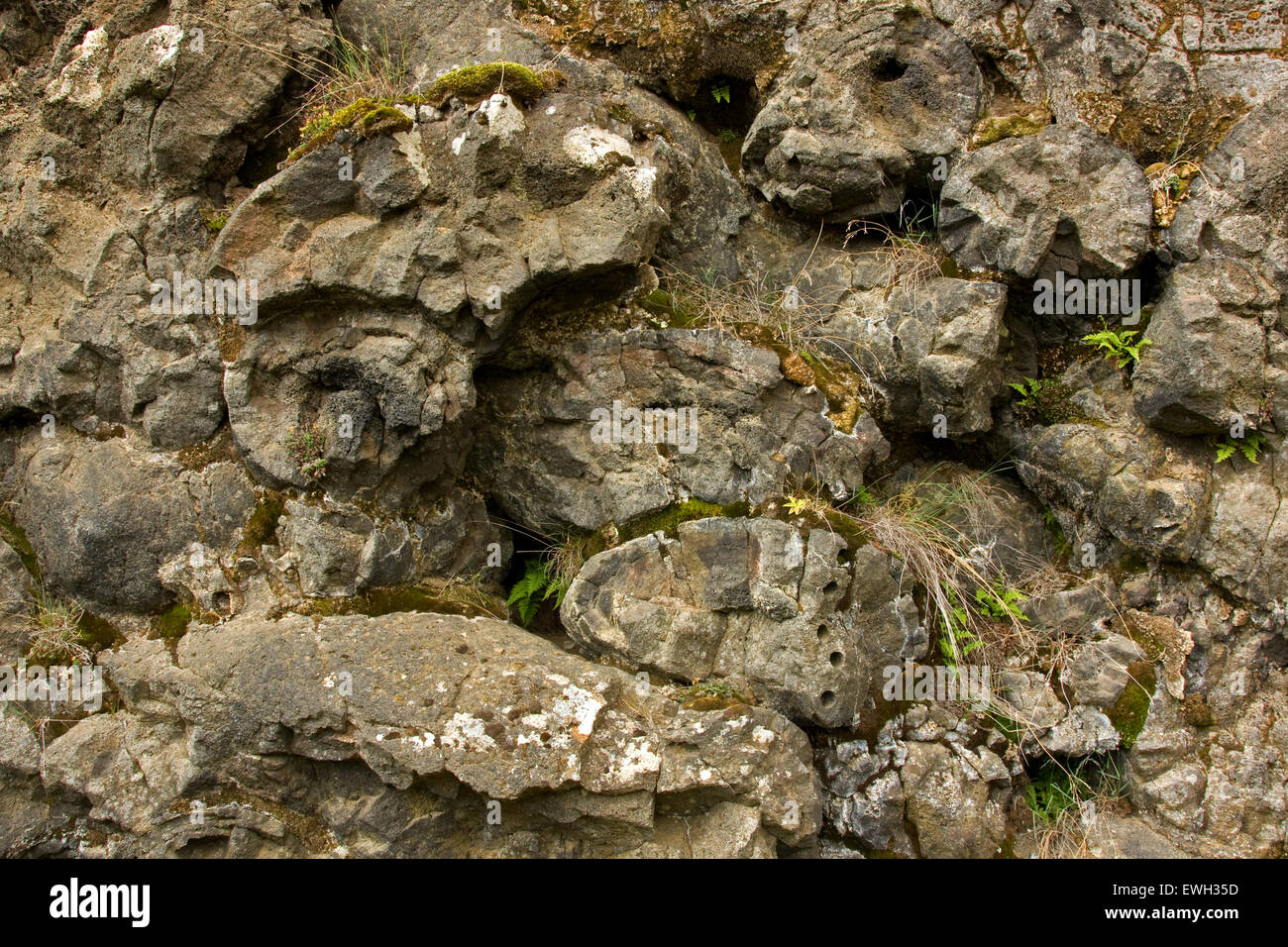 Pillow lava in Iceland Stock Photo Alamy
