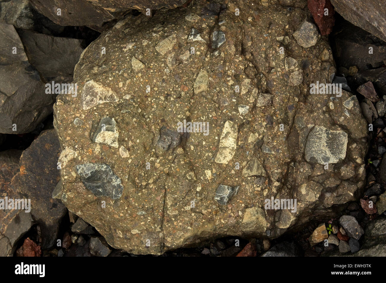 Tillite (lithified till - unsorted glacial sediment) Stock Photo