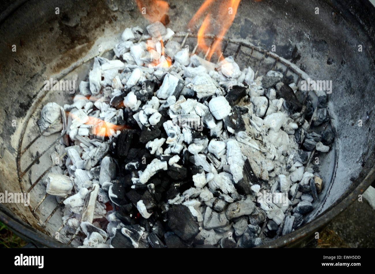 Charcoal burning in a barbecue Stock Photo Alamy