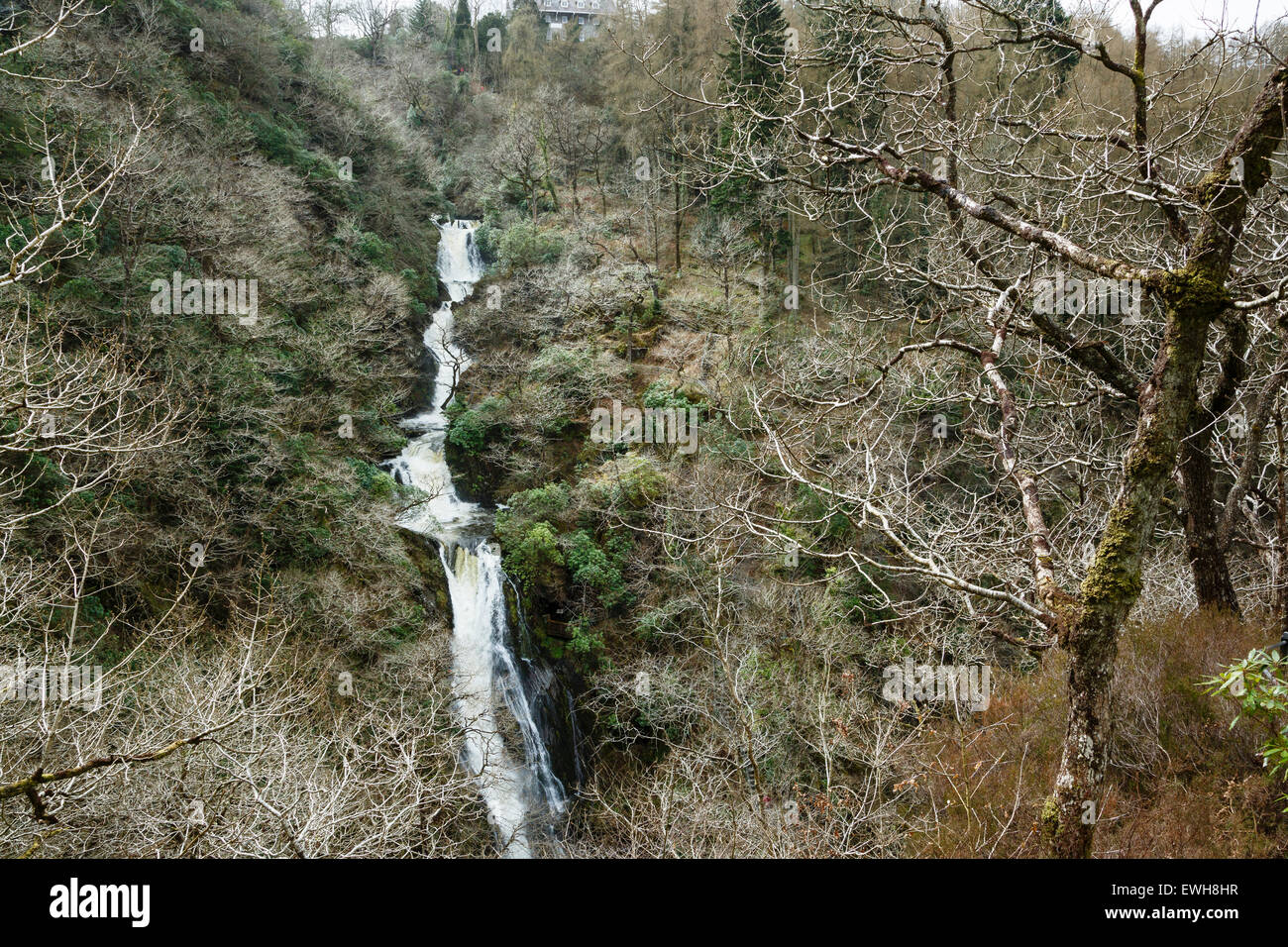 Gyfarllwyd Falls, Devil's Bridge, Rheidol Valley, Ceredigion, Wales Stock Photo