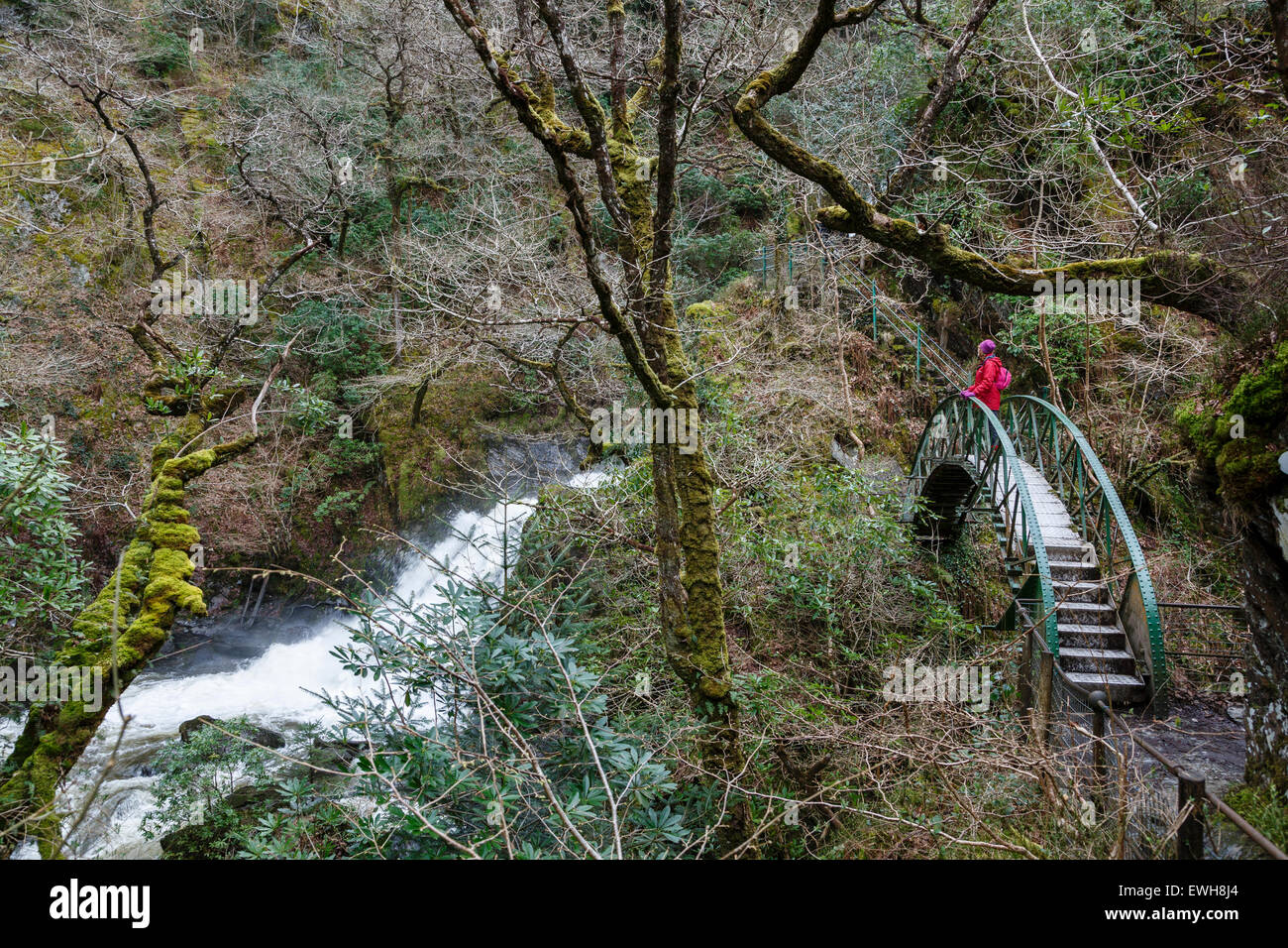 Footbridge over the Mynach Falls, Devil's Bridge, Rheidol Valley, Ceredigion, Wales Stock Photo
