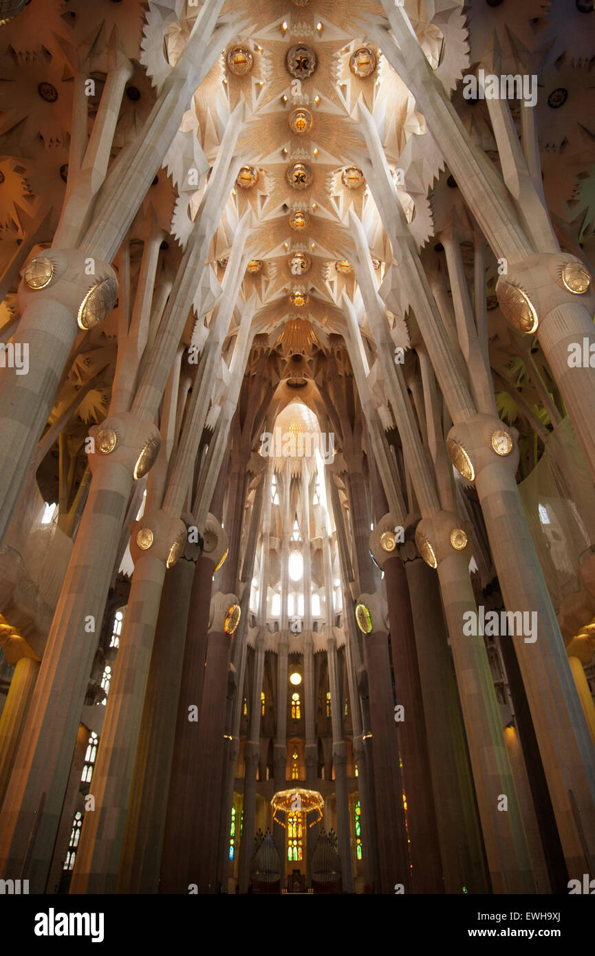 Interior of the famous Sagrada Familia church designed by Antonio Gaudi. Barcelona Catalonia Spain Stock Photo
