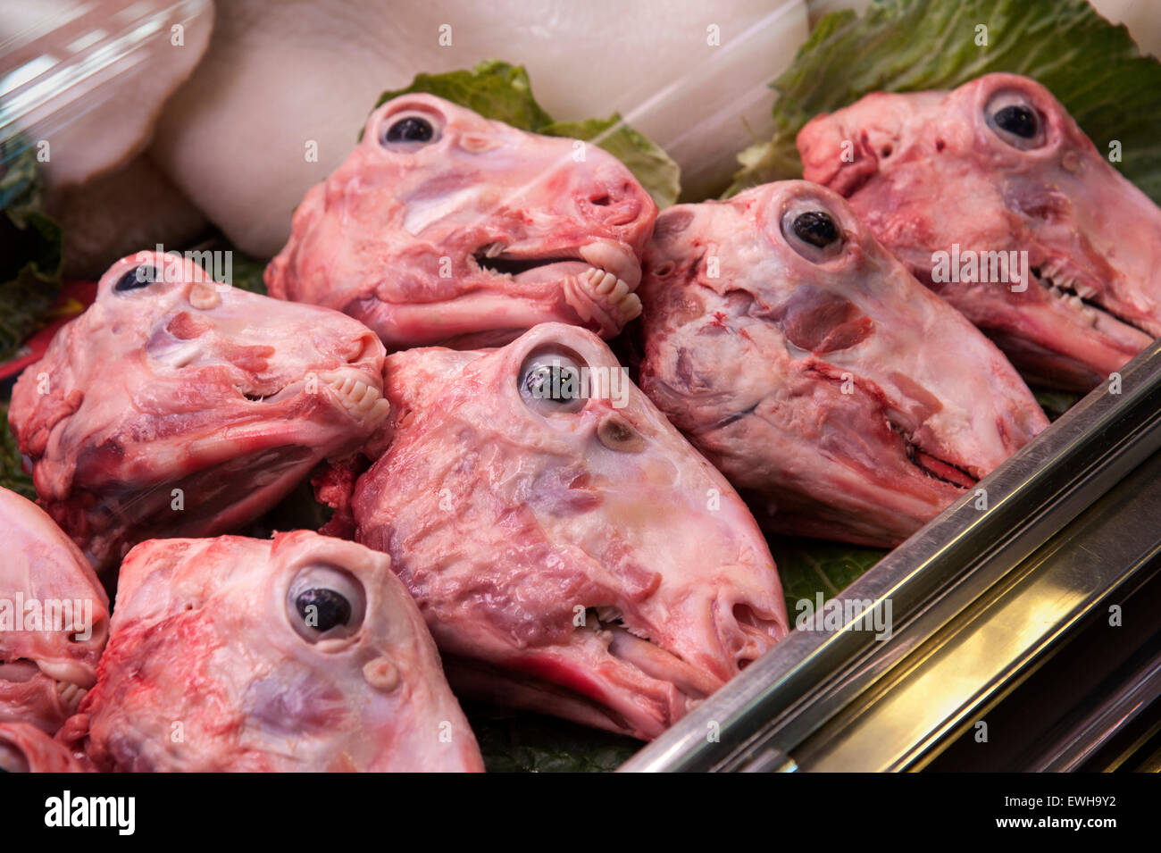 Skinned Sheep Heads on a stall at La Boqueria Market Barcelona Spain Stock Photo