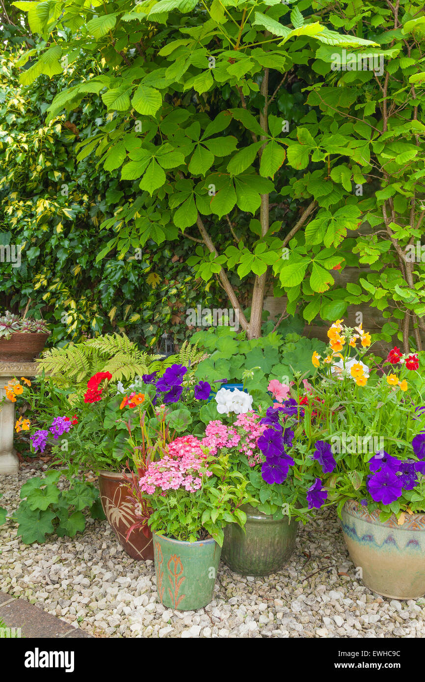 Shady corner of a garden with containers full of colorful flowers Stock Photo