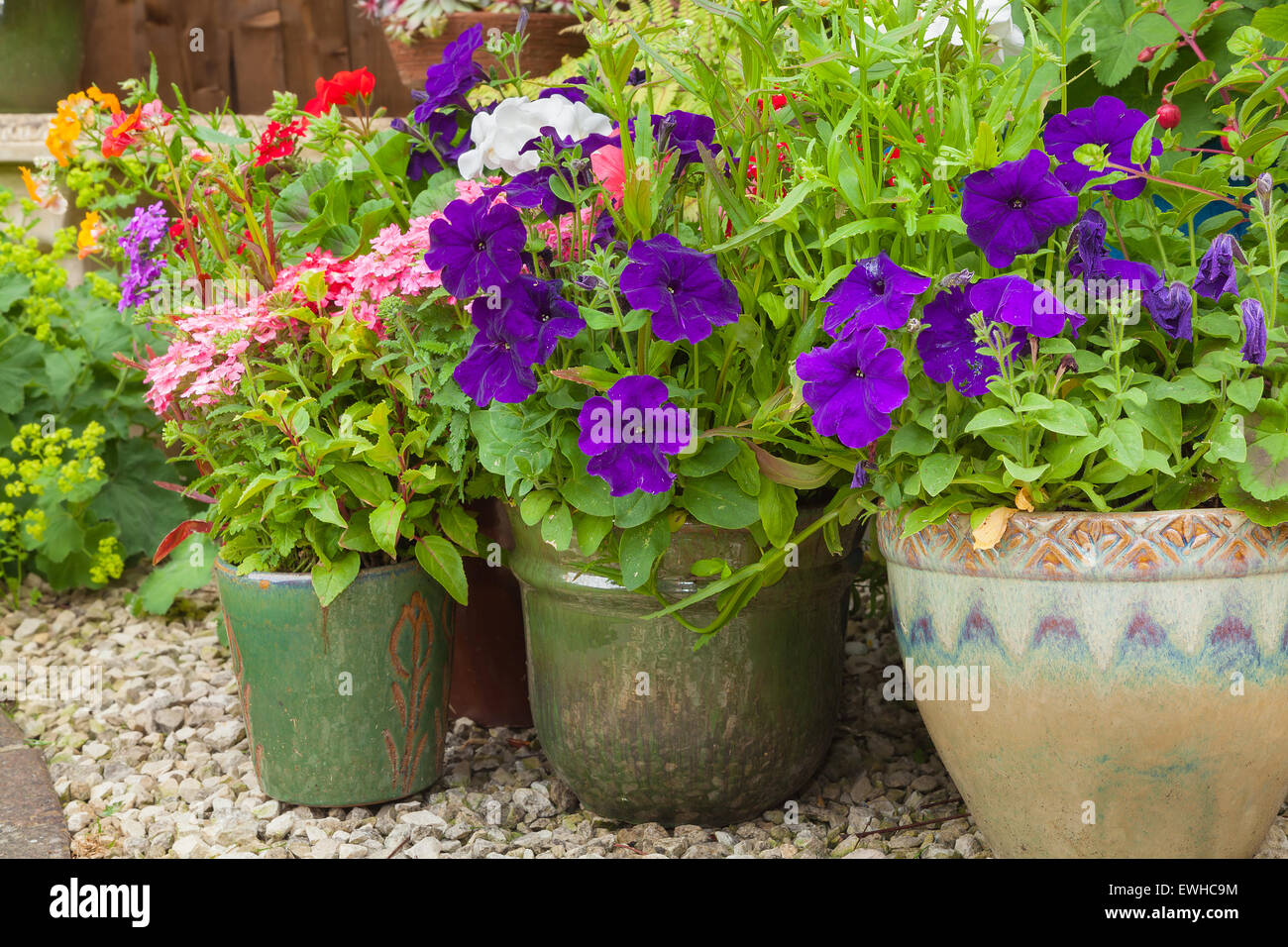 Shady corner garden hires stock photography and images Alamy