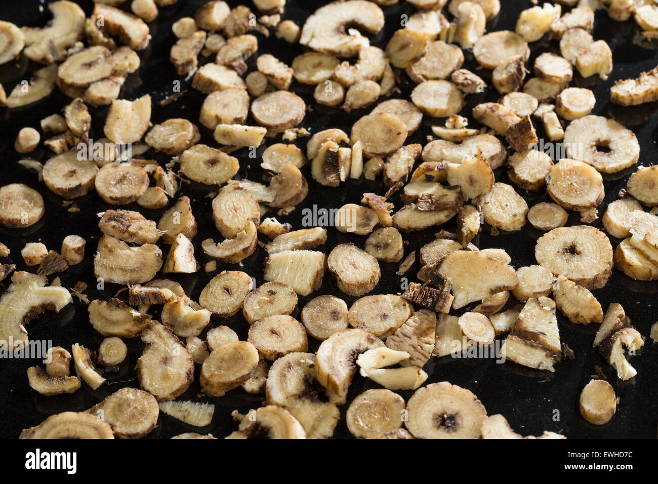 Common soapwort, crow soap, soapweed, root, roots, Echtes Seifenkraut