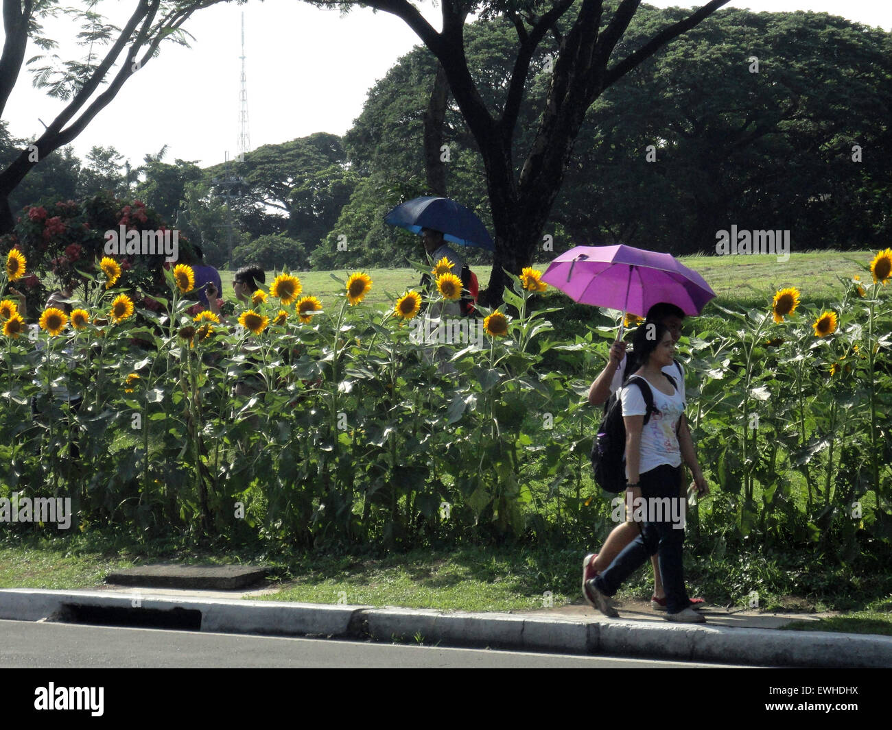 Quezon City Philippines 25th June 2015 Filipinos Walk Alongside Stock Photo Alamy