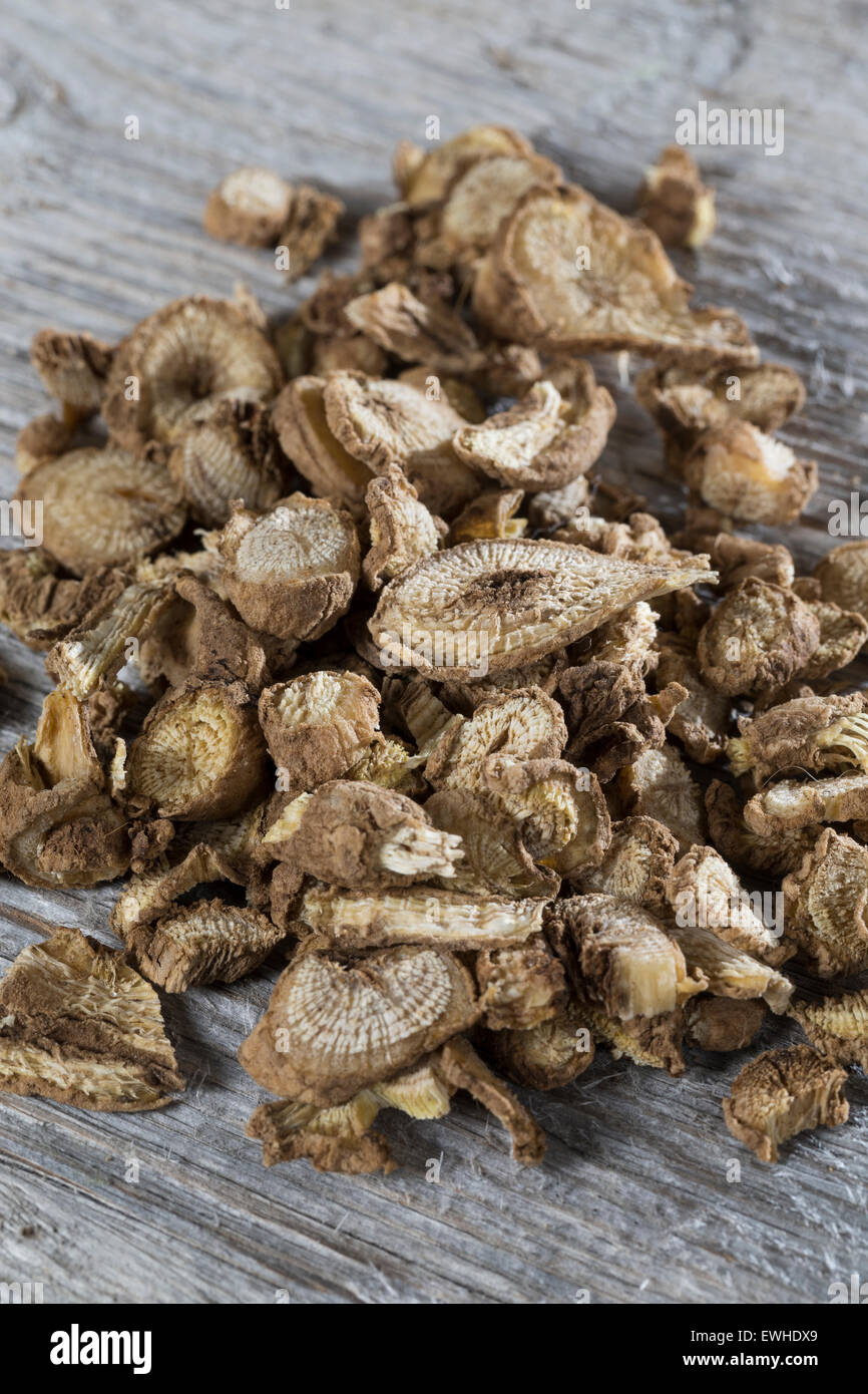 Common soapwort, crow soap, soapweed, root, roots, Echtes Seifenkraut