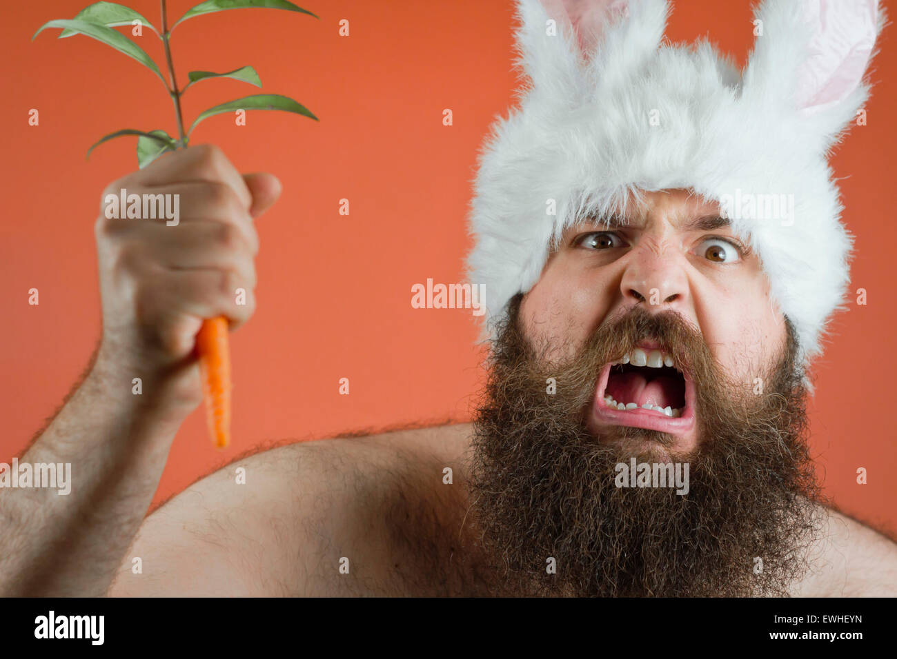 Angry bearded man wearing bunny ears waves carrot to attack Stock Photo