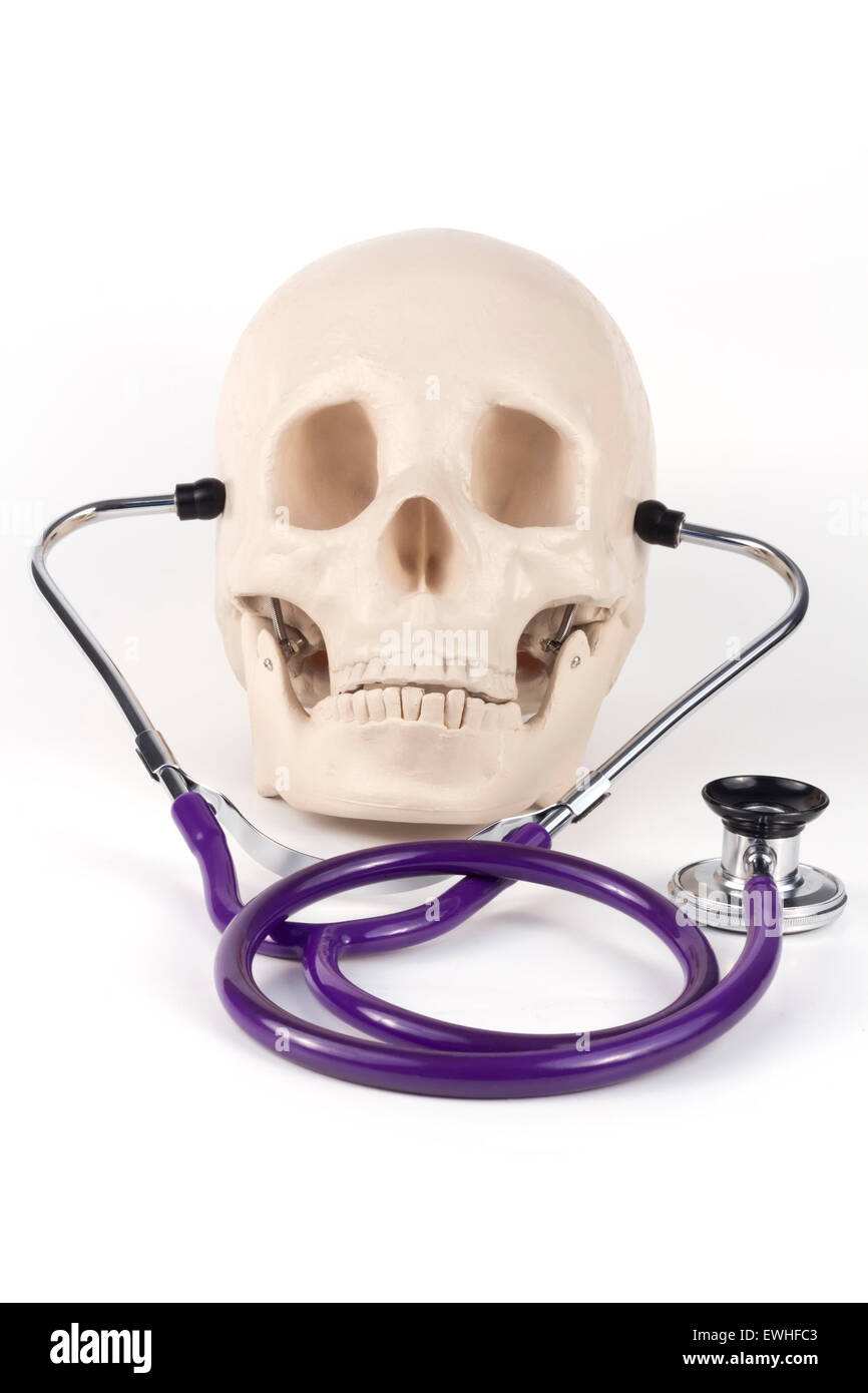 Educational medical supply skull wearing stethoscope Stock Photo Alamy