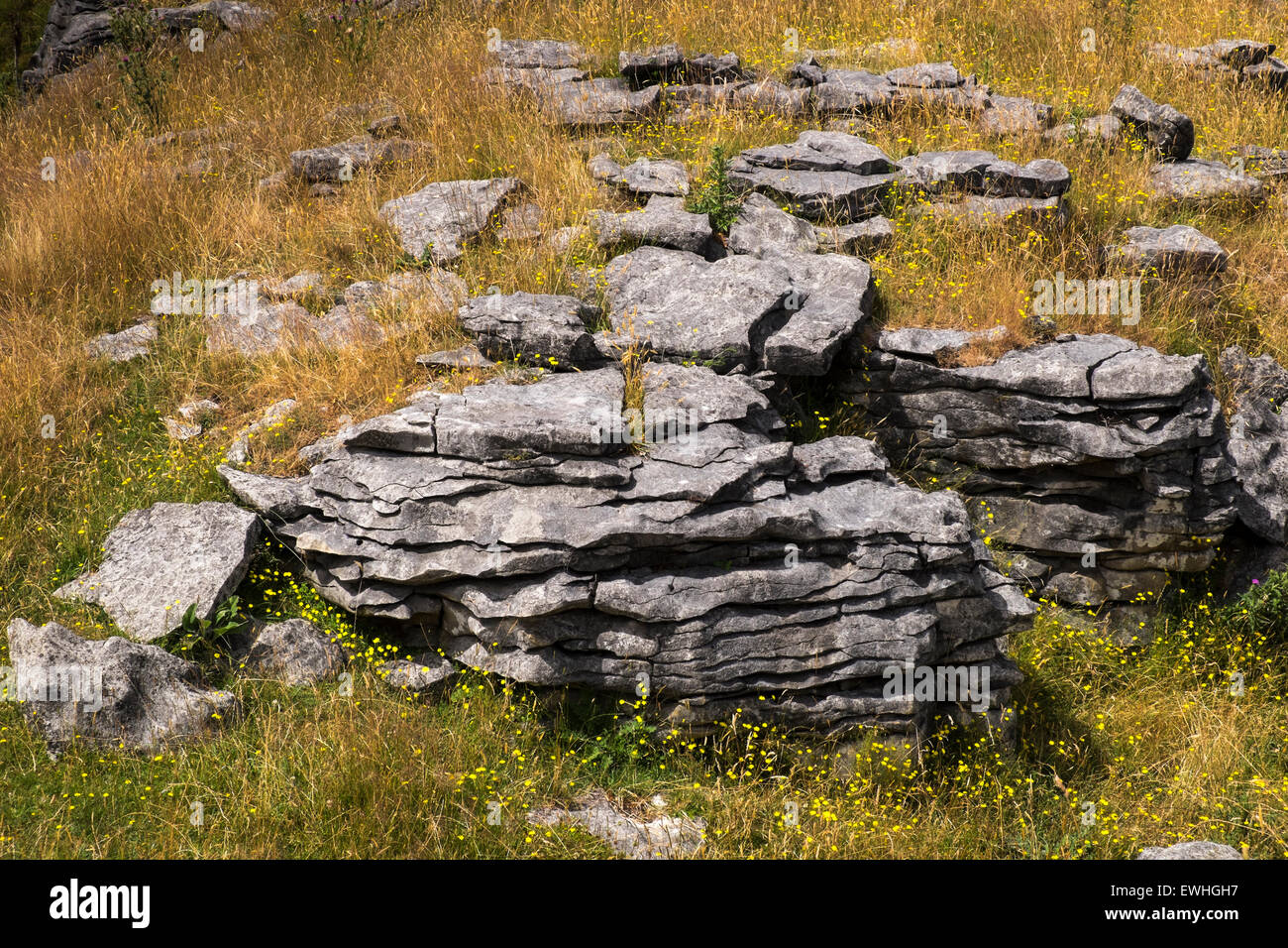 Limestone Rock Formation