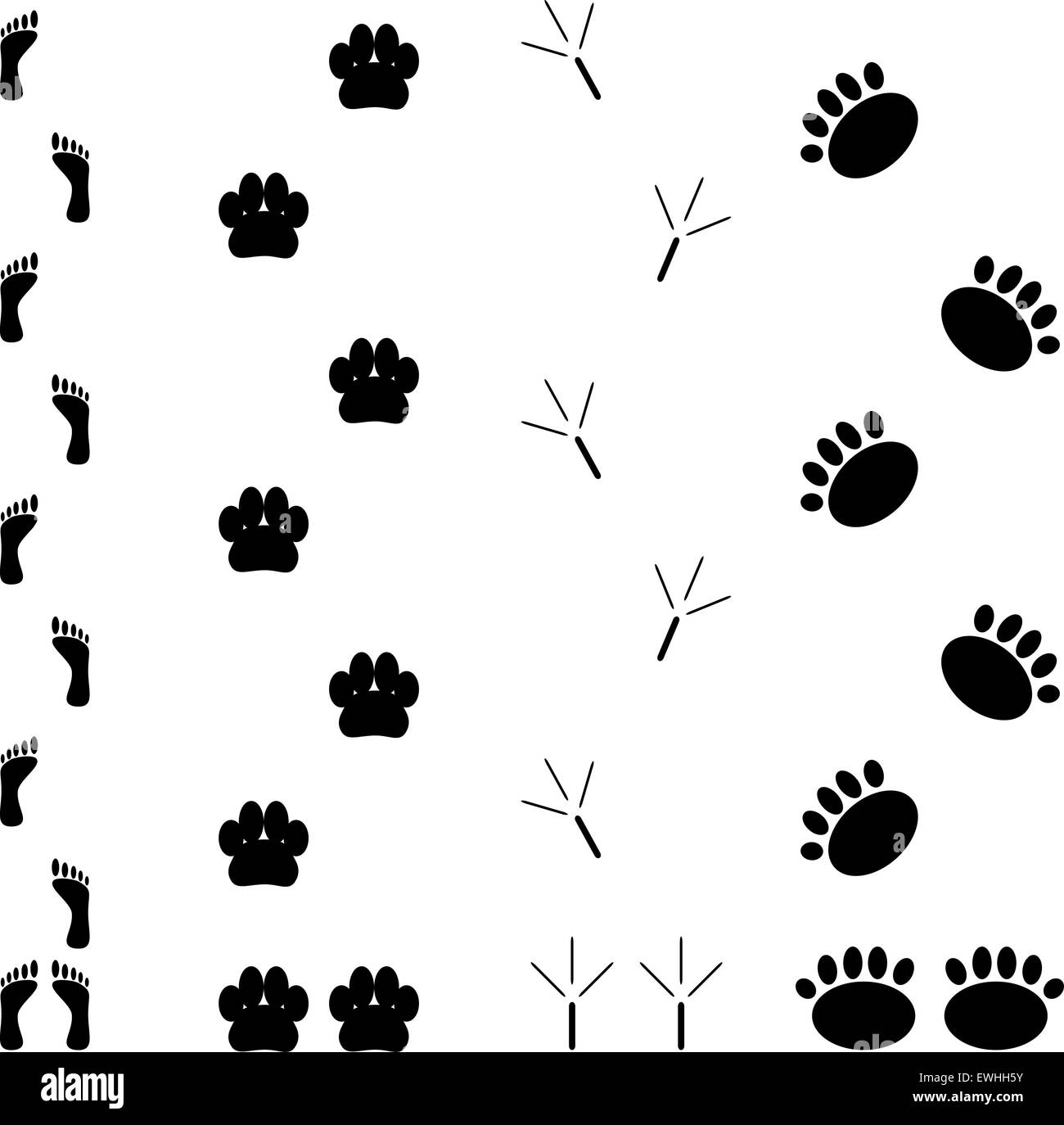 Foot print set. Step silhouette animal, track and trace, vector graphic illustration Stock Photo
