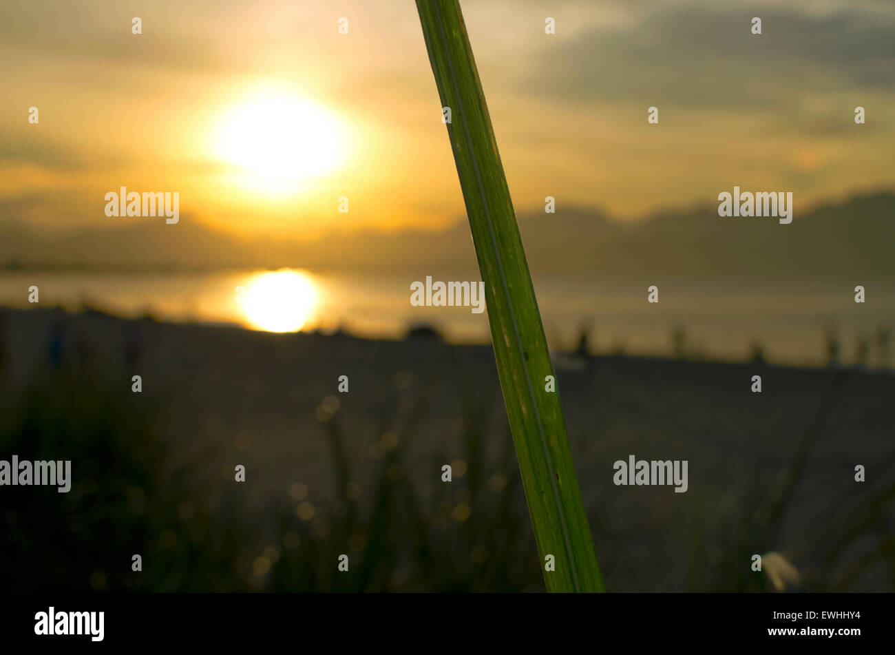 The perfect blade hi-res stock photography and images - Alamy