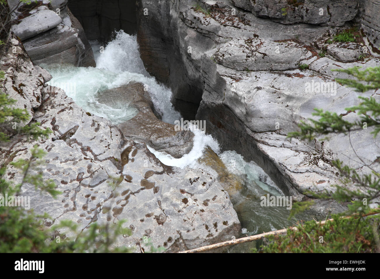 A raging torrent of water rushes through the narrow Maligne canyon  near Banff, Rocky mountains Stock Photo
