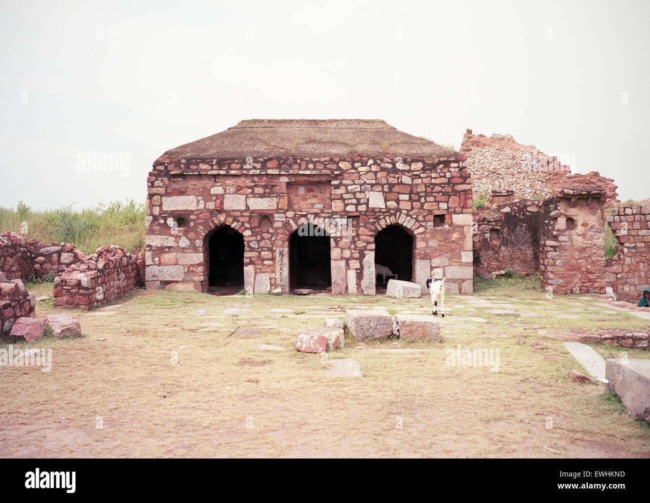 Ruined Mosque at Tughlakabad Fort, New Delhi Stock Photo